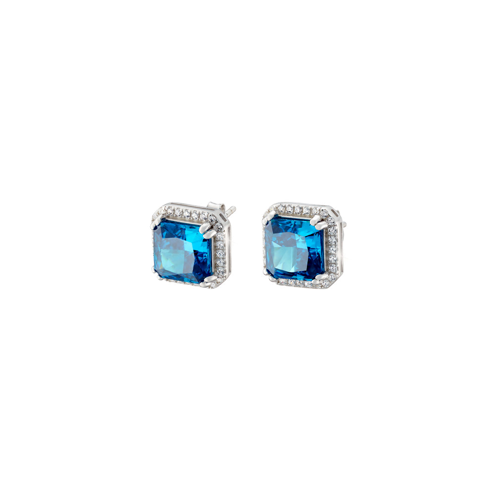 Earrings  Silver With Blue And White Zircons