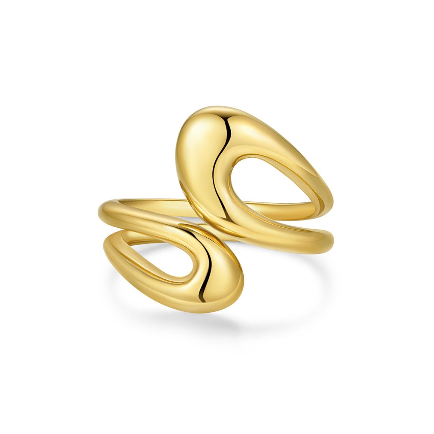 Dual Curve Ring